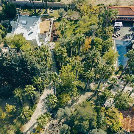 Jungle Eva - With Pool & Gardens